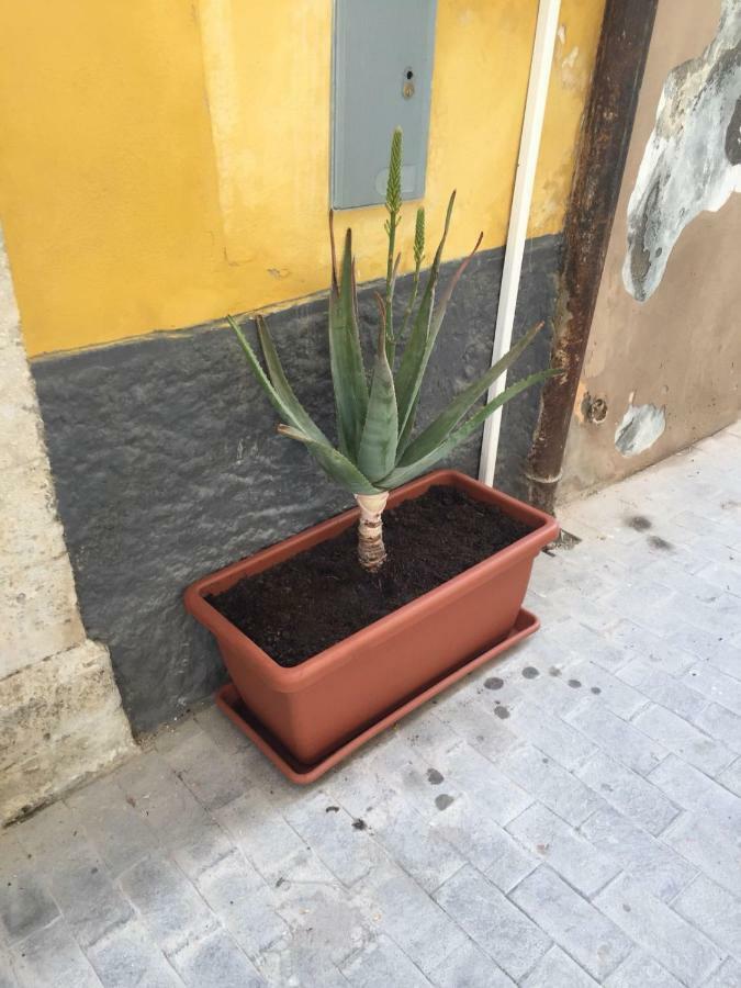 فيلا سيراكوزافي Casa Rachele المظهر الخارجي الصورة